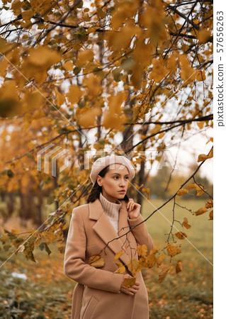 Beautiful lady surrounded autumn leaves 57656263