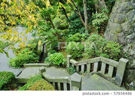 Autumn Garden 57656486