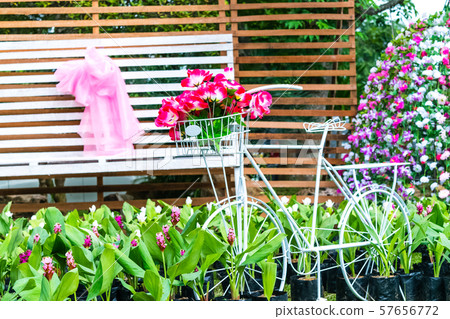 White retro bicycle 57656772