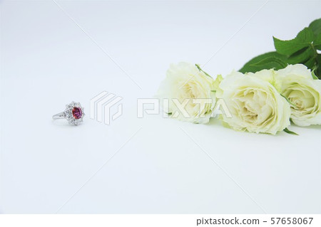 Ring rose Ring rose 57658067