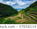 Rice fields in Hamanoura after harvest 57658114
