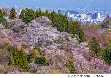Hanamiyama公園和福島市 57658269