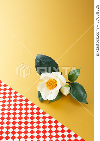 茶花 57658528
