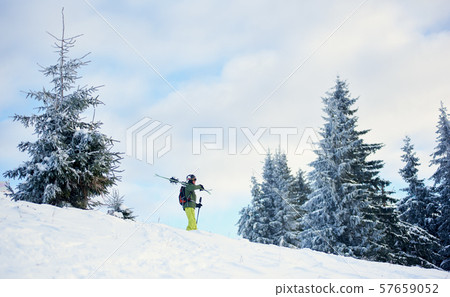 Man skier in goggles carrying skis and walking down along fir trees forest in snow-capped mountains Man skier in goggles carrying skis and walking down along fir trees forest in snow-capped mountains 57659052