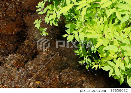 羊蹄山的水下水 羊蹄山的水下水 57659082