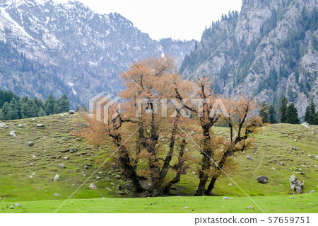 Stunning photograph of Kashmir also called 'Paradise on Earth', Stunning photograph of Kashmir also called 'Paradise on Earth', 57659751