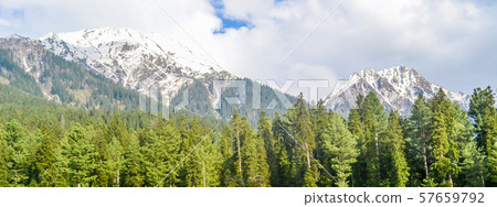 Kashmir valley (Paradise on Earth). 57659792