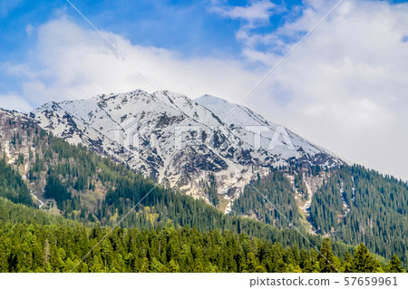 Beautiful view of Pahalgam, known as Valley of Shepherds of Kashmir valley (Paradise on Earth) Beautiful view of Pahalgam, known as Valley of Shepherds of Kashmir valley (Paradise on Earth) 57659961
