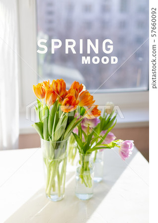 Two vases of spring tulips on the table Two vases of spring tulips on the table 57660092