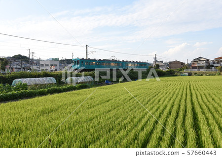 Wakayama Line Series 105 Kamata 57660443