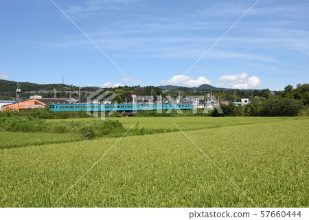 和歌山線系列105 Shidomi 57660444