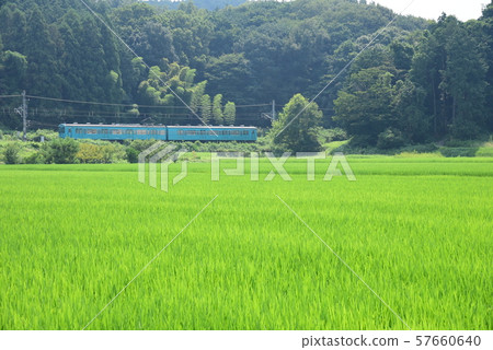 和歌山線系列105 Tamate 和歌山線系列105 Tamate 57660640