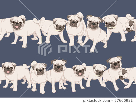 Pug dog vector illustration.