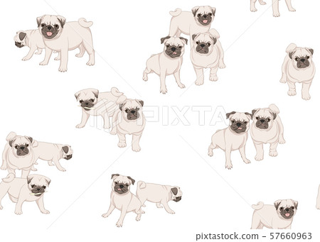 Pug dog vector illustration.