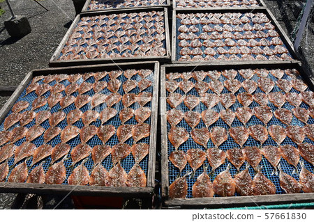 Dried fish 57661830