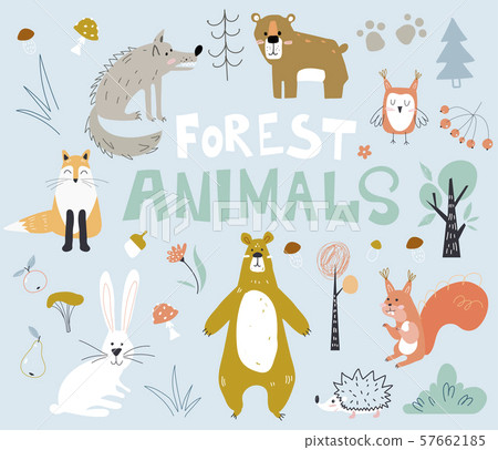 Woodland forest animals cute bear, fox, hedgehogs in the wood. Creative kids scandinavian style. 57662185