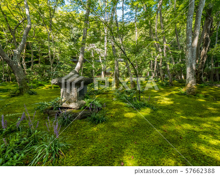 Ryooji Temple 57662388