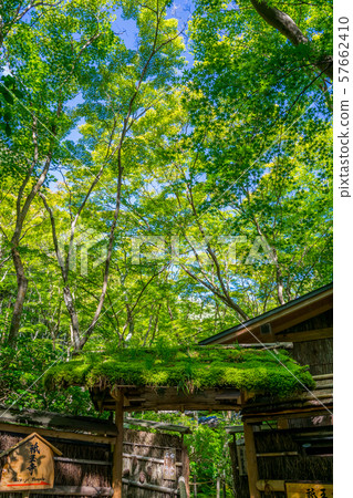 Ryooji Temple 57662410