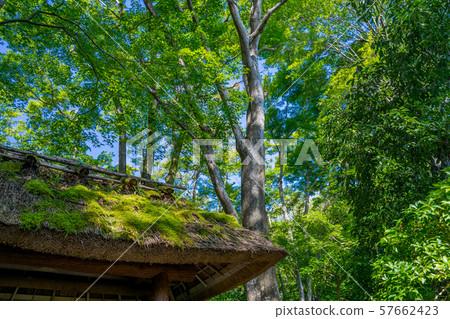 Ryooji Temple 57662423