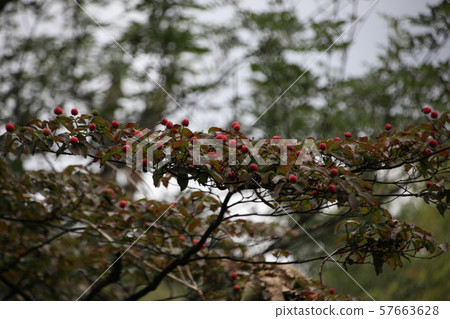 National Park, Bukhansan, Bukhansanseong National Park, Bukhansan, Bukhansanseong 57663628