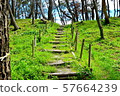Stairs in the forest 57664239