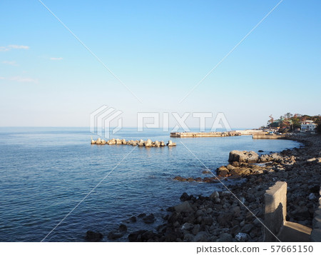 靜岡海 靜岡海 57665150