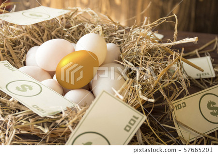 egg, gold, easter 57665201