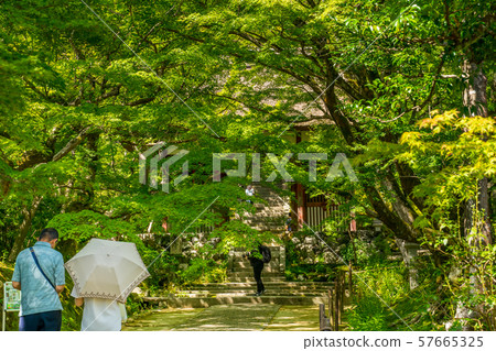 Jotokoji Temple 57665325