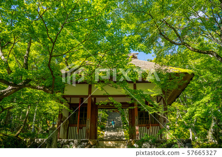 Jotokoji Temple 57665327