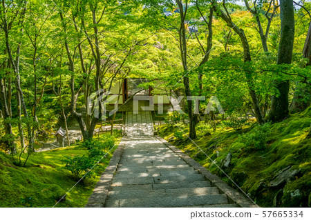 Jotokoji Temple 57665334