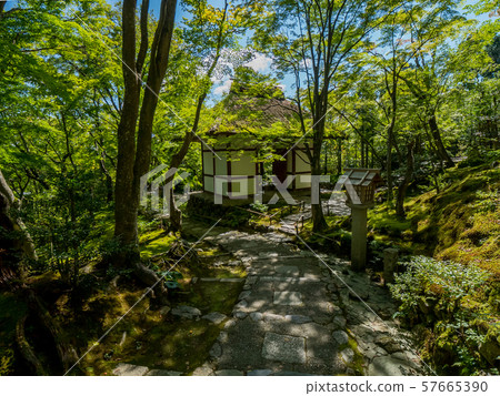 Jotokoji Temple 57665390