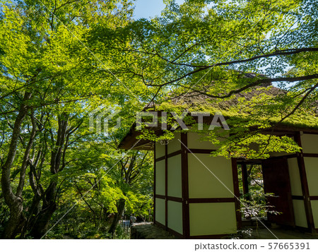 Jotokoji Temple 57665391