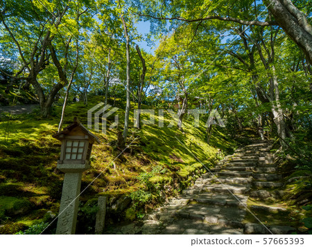 Jotokoji寺 57665393