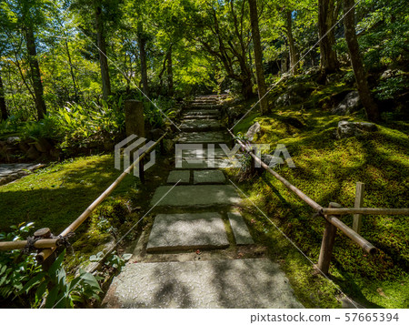 Jotokoji Temple 57665394