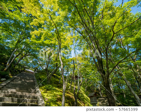 Jotokoji寺 57665399