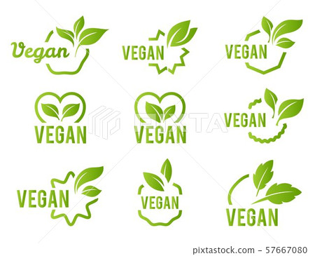 Vegan icon set. Bio, Ecology, Organic logos and badges, label, tag. Green leaf on white background Vegan icon set. Bio, Ecology, Organic logos and badges, label, tag. Green leaf on white background 57667080