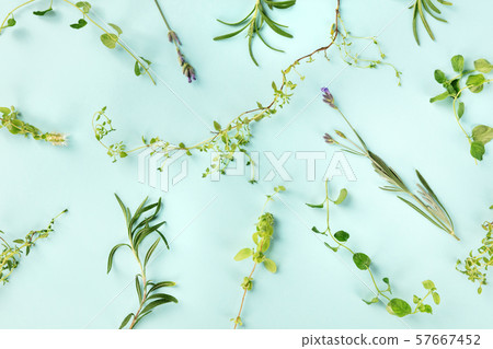 The herbs of Provence. Rosemary, oregano, thyme, lavender, and marjoram, shot from above on a blue 57667452