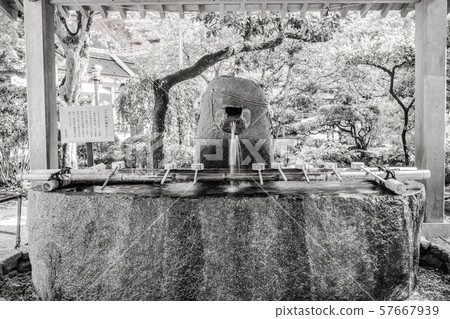 (棕褐色)Kamigamo神社的Temizuya (棕褐色)Kamigamo神社的Temizuya 57667939