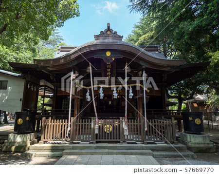 夏季ita玉縣川口市的川口神社 57669770