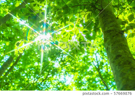 Fresh green and eco image Fresh green and eco image 57669876