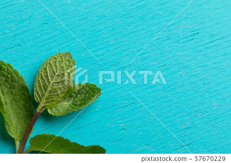 Close-up one green mint sprig  on turquoise background. Top view, copy space. 57670229