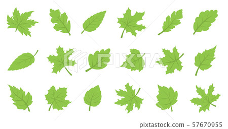 Green leaf set. Eco design Green leaf set. Eco design 57670955