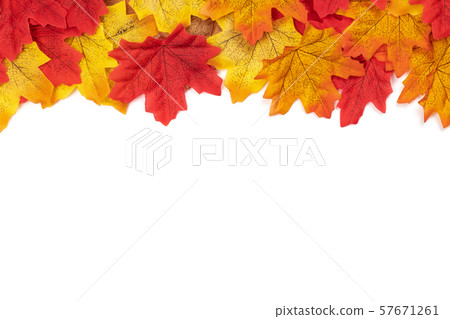 Flat lay Autumn maple leaves texture. Background made of color red and orange leaves isolate on white background. Top view, Nature background Flat lay Autumn maple leaves texture. Background made of color red and orange leaves isolate on white background. Top view, Nature background 57671261
