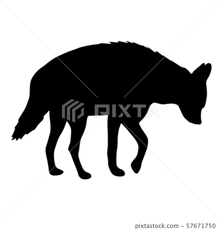 Silhouette of hyena on a white background Silhouette of hyena on a white background 57671750