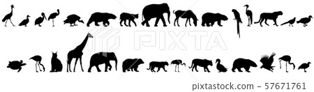 Silhouette elephant bear eagle trot duck zebra on 57671761