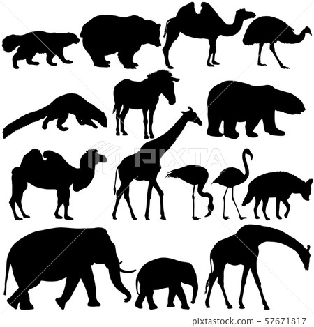 Silhouette elephant bear eagle trot duck zebra on Silhouette elephant bear eagle trot duck zebra on 57671817