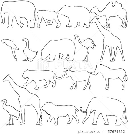 Silhouette elephant bear eagle trot duck zebra on 57671832