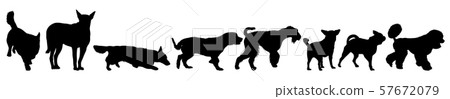Set silhouette black domestic dog on a white background. 57672079