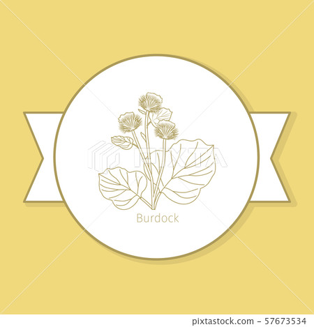 Burdock medicine plant yellow label 57673534