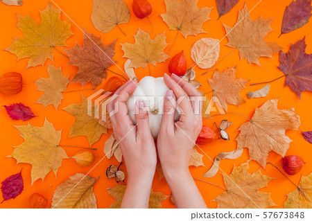 Autumn flat lay composition with white pumpkin Autumn flat lay composition with white pumpkin 57673848